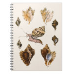 Vintage Mollusks and Snails, Marine Life Organisms Notebook