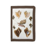 Vintage Mollusks and Snails, Marine Life Organisms Tri-fold Wallet