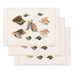 Vintage Mollusks and Snails, Marine Life Organisms Wrapping Paper Sheets