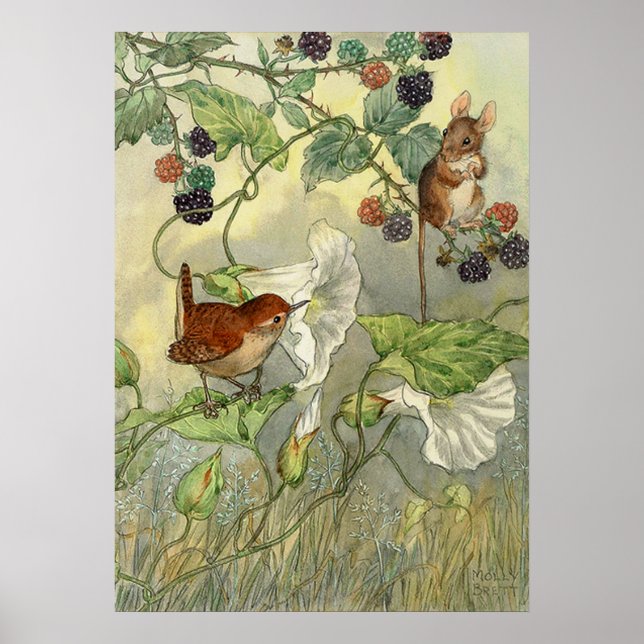 Vintage, Molly Brett Nature Art Bird, Mouse Poster (Front)