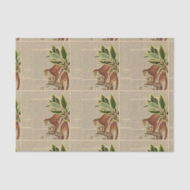 Vintage Monkey Collage Tissue Paper (Front)