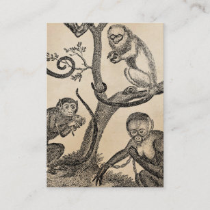 Vintage Monkey Illustration - 1800's Monkeys Business Card