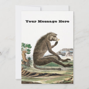 Vintage Monkey Illustration Zoo Animal Ape Invitation