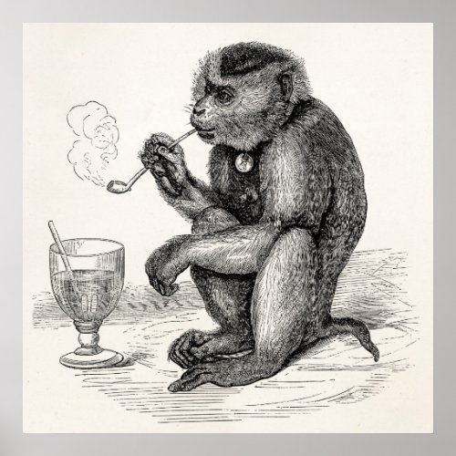 Vintage Monkey Smoking a Pipe Monkeys  Animal Poster
