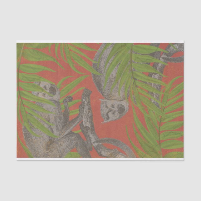 Vintage Monkey Tissue Paper (Front)