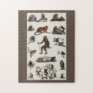 Vintage Monkeys Apes Gorilla Kids Gifts Jigsaw Puzzle