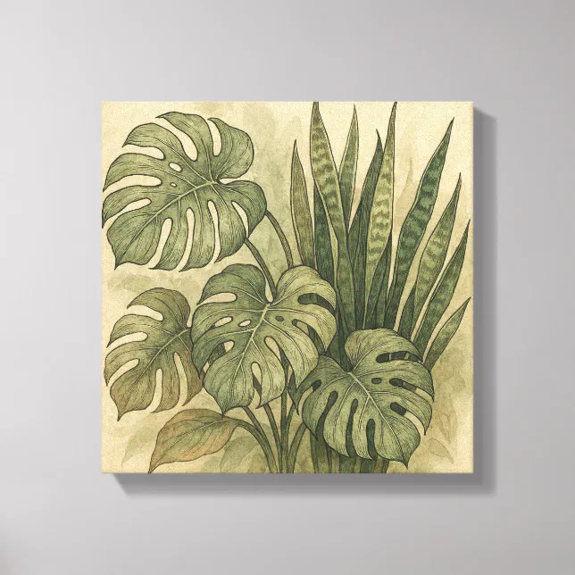 philodendron melanochrysum steckling Philodendron melanochrysum – Carnivero main image 0