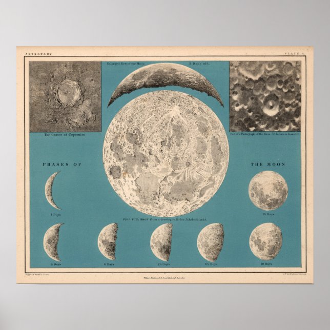 Vintage Moon Illustration Poster (Front)