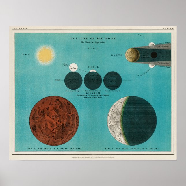 Vintage Moon Illustration Poster (Front)