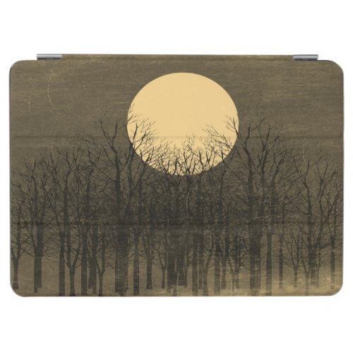 Vintage Moon Night 4 iPad Air Cover