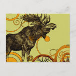 Vintage Moose Postcard