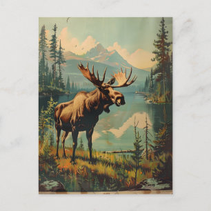 Vintage Moose Postcard