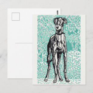 Vintage Moriz Jung Greyhound Art Teal Background Postcard