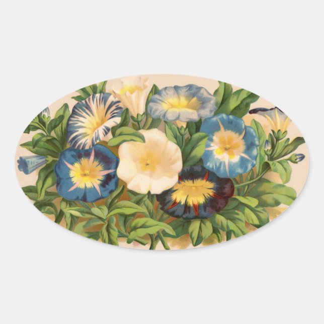 Vintage Morning Glory Oval Sticker (Front)