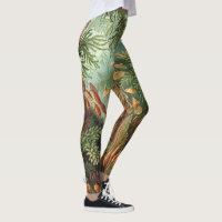 Vintage Moss Plants by Ernst Haeckel, Muscinae Leggings