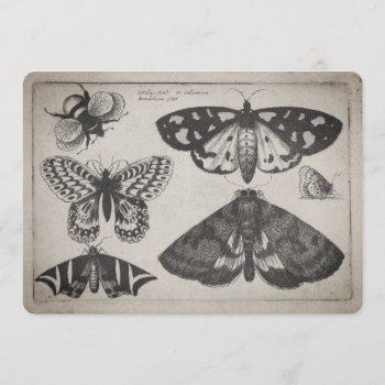 Vintage Moth Butterfly Bee Illustration (65) Invitation by expiredink at Zazzle