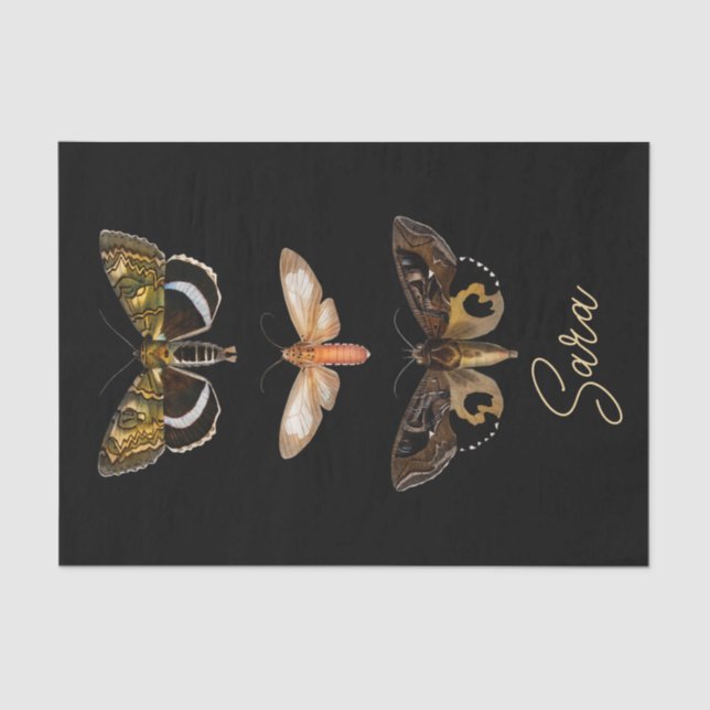 Vintage Moth Butterfly Personalized  Tissue Paper (Front)