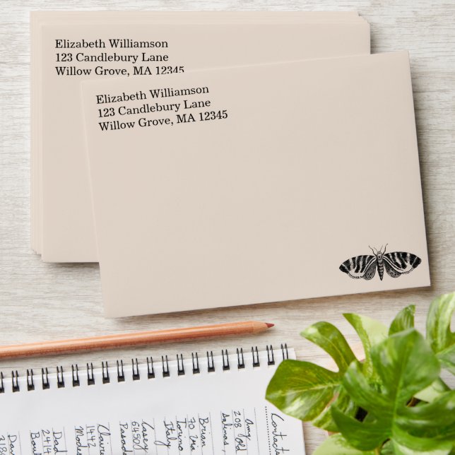 Vintage Moth Elegant Minimalist Personalized Envelope (Stacked)