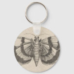 Vintage Moth Entomology Lepidoptera Insect Keychain at Zazzle