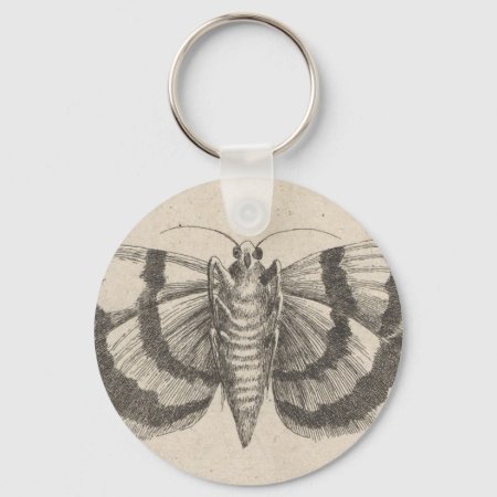 Vintage Moth Entomology Lepidoptera Insect Keychain