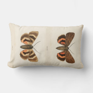 Vintage Moth Lumbar Pillow