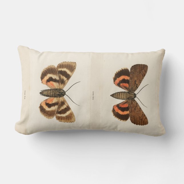 Vintage Moth Lumbar Pillow (Front)