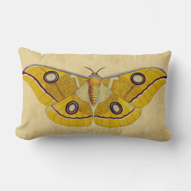 Vintage Moth Lumbar Pillow (Front)
