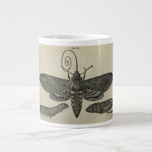 Vintage Moth Metamorphasis Print Giant Coffee Mug