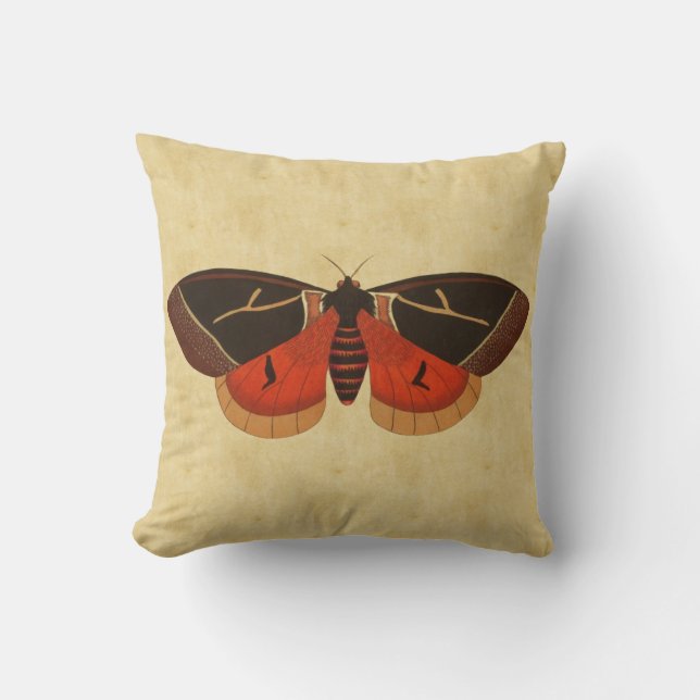Vintage Moth Throw Pillow (Front)