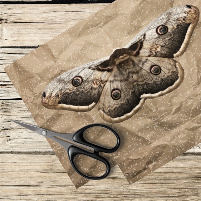 Vintage moth  tissue paper (Creator Uploaded)