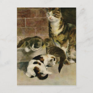 Vintage Mother Cat and Kittens Announcement Postcard