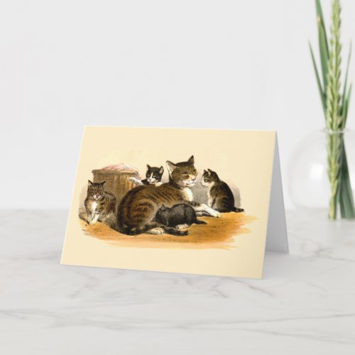 Vintage Mother Cat  Kittens Mothers Day Holiday Card