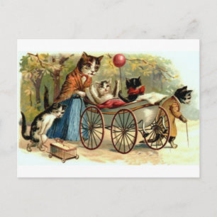 Vintage Mother Cat Postcard