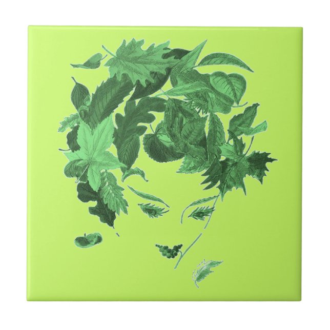 Vintage Mother Nature Tile (Front)