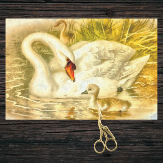 Vintage Mother Swan Baby Cygnet Watercolor Look