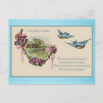 Vintage Mother's Day Bluebirds Postcard by stargiftshop at Zazzle