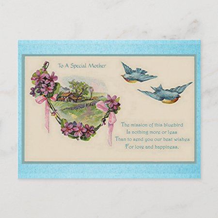 Vintage Mother's Day Bluebirds Postcard