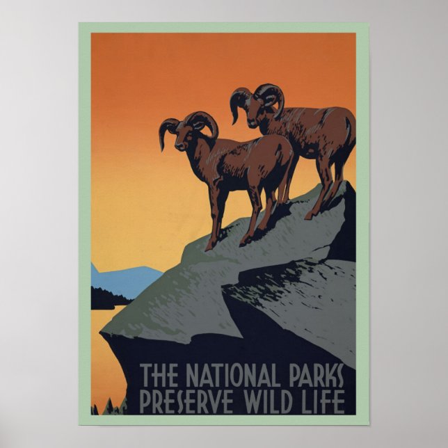 Vintage Mountain Goats National Parks Preserve Poster (Front)