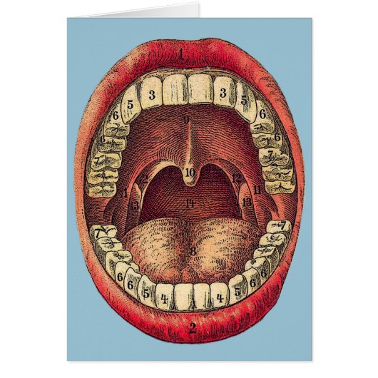 Vintage Mouth Cards (Front)