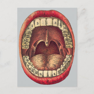 Vintage Mouth Postcard