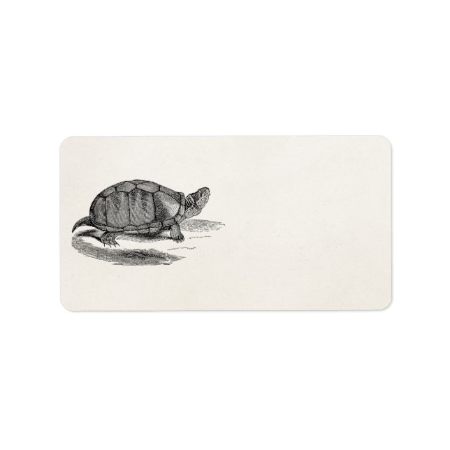 Vintage Mud Tortoise - Reptile Turtle Template Label (Front)