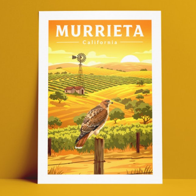Vintage Murrieta California Postcard (Creator Uploaded)