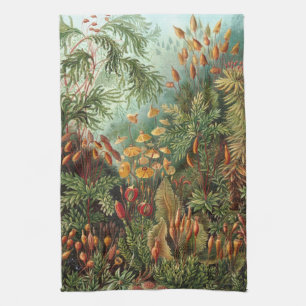 Vintage Muscinae, Moss Plants by Ernst Haeckel Kitchen Towel