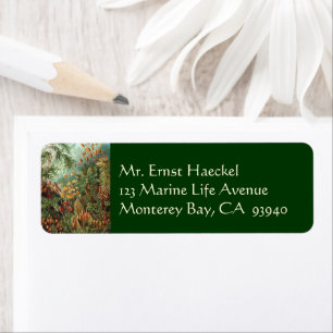 Vintage Muscinae, Moss Plants by Ernst Haeckel Label