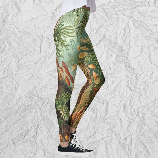 Vintage Muscinae, Moss Plants by Ernst Haeckel Leggings (Vintage Muscinae, Moss Plants by Ernst Haeckel Leggings)
