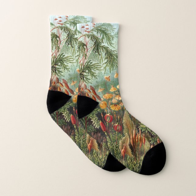 Vintage Muscinae, Moss Plants by Ernst Haeckel Socks (Pair)
