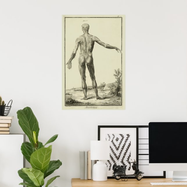 Vintage Muscles, Human Anatomy by Denis Diderot Poster (Home Office)