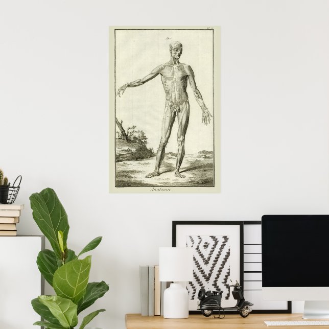 Vintage Muscles, Human Anatomy by Denis Diderot Poster (Home Office)