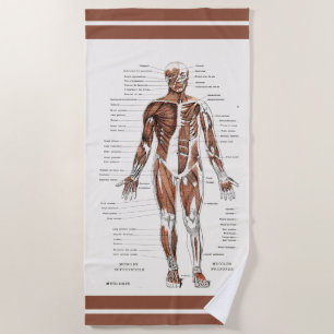 Vintage Muscular Circulatory System Diagram Beach Towel