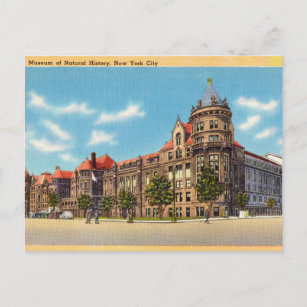 Vintage, Museum of Natural History, New York Postcard